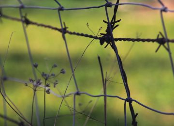 Az Auschwitz látogatási szabályok – felkészülés a kegyeleti útra
