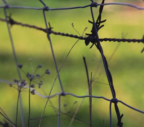 Az Auschwitz látogatási szabályok – felkészülés a kegyeleti útra