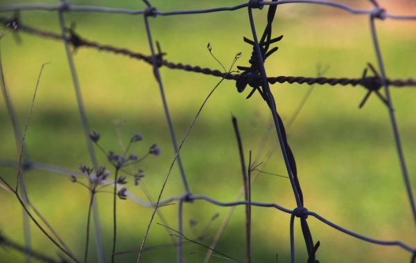 Az Auschwitz látogatási szabályok – felkészülés a kegyeleti útra