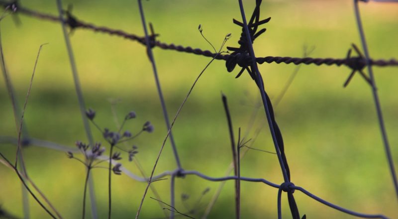 Az Auschwitz látogatási szabályok – felkészülés a kegyeleti útra